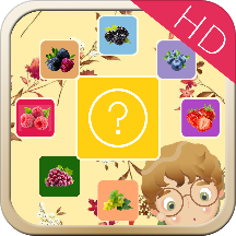 宝宝水果猜猜乐HD