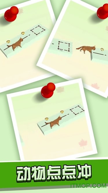 Animal Run
