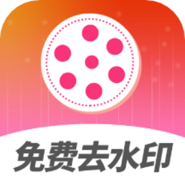 去水印视频解析