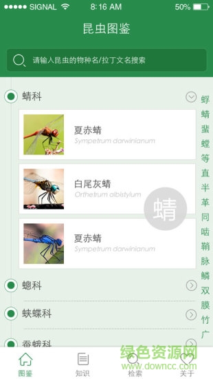 上海昆虫