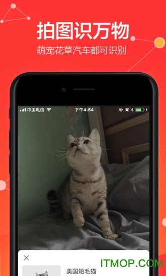 手机淘宝iphone客户端