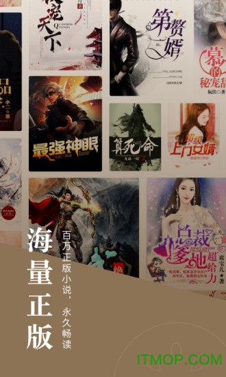 番茄小说ios版安装包