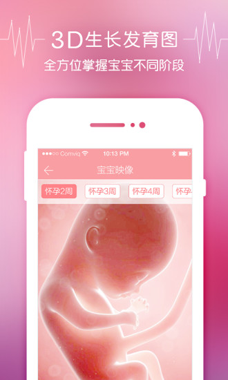 怀孕啦