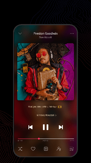 飞傲音乐fiio Music(音乐播放器) v3.3.0 安卓版