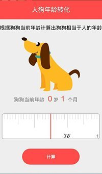 宠物宝