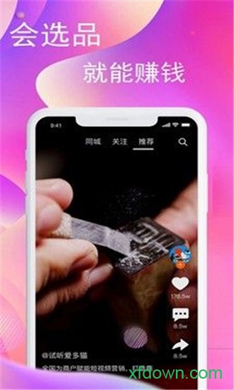 爱多猫