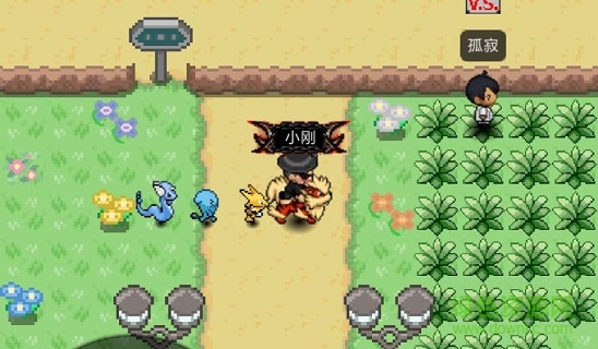宝可梦plus最新版(pokeplus)