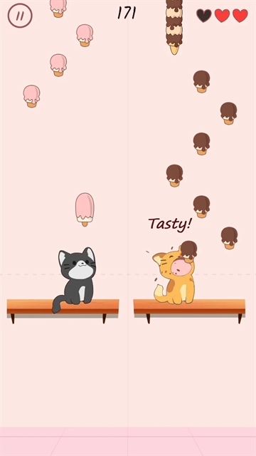 猫咪二重奏
