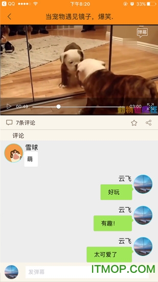 单身狗趣味视频