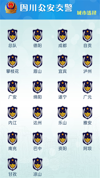 四川公安交警公共服务平台