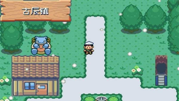 口袋妖怪：宿命的轮回