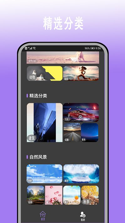 高清壁纸大全