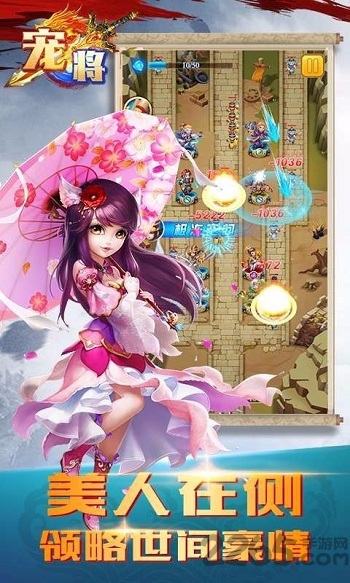 宠将