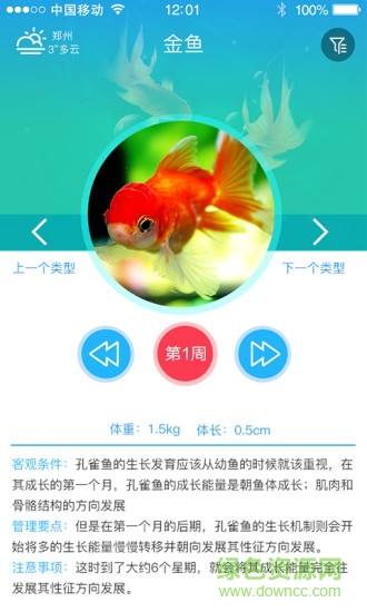 渔豆豆水产