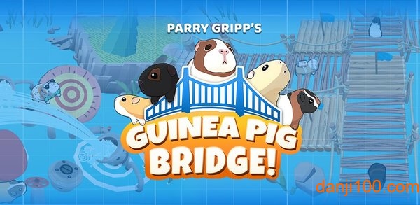 GUINEA PIG BRIDGE!