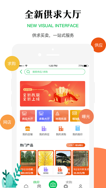 苗木之家