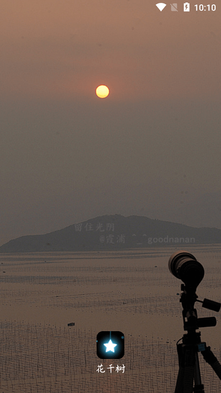 花千树