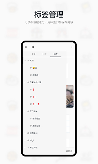 MiGi碎碎念