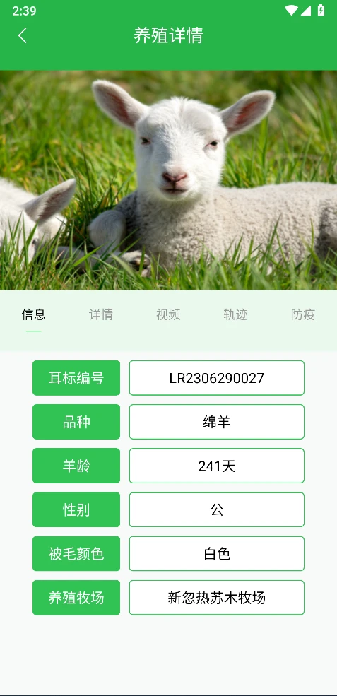 我在草原有只羊