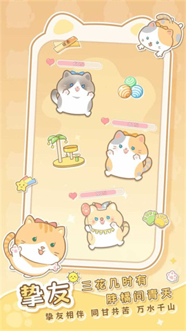 是猫就活100岁