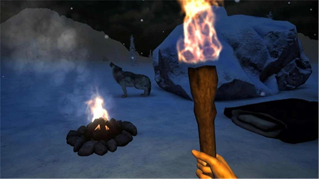 丛林生存法则 丛林生存法则