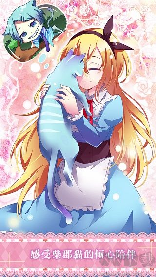 Alice安装器