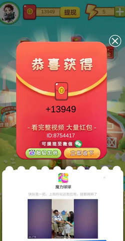 永久发财树 永久发财树