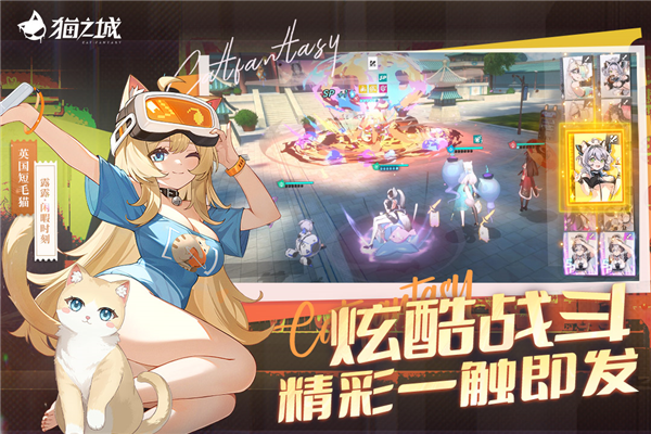 猫之城