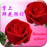掌上鲜花预订