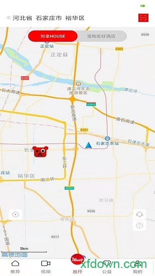 狗拿house