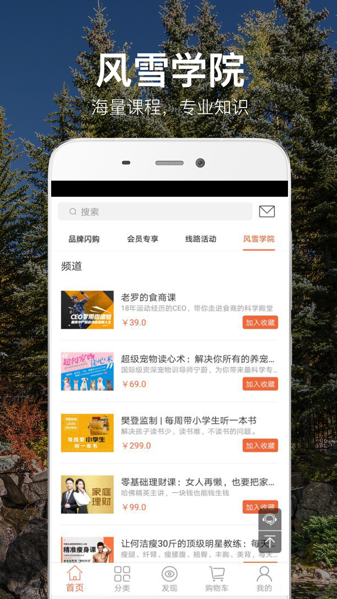 风雪VIP