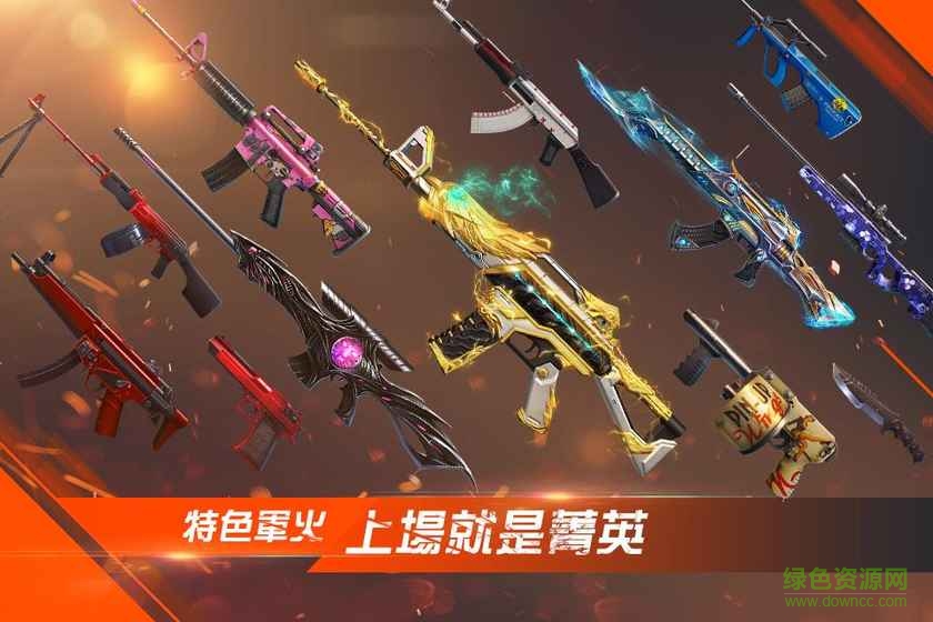 武裝菁英