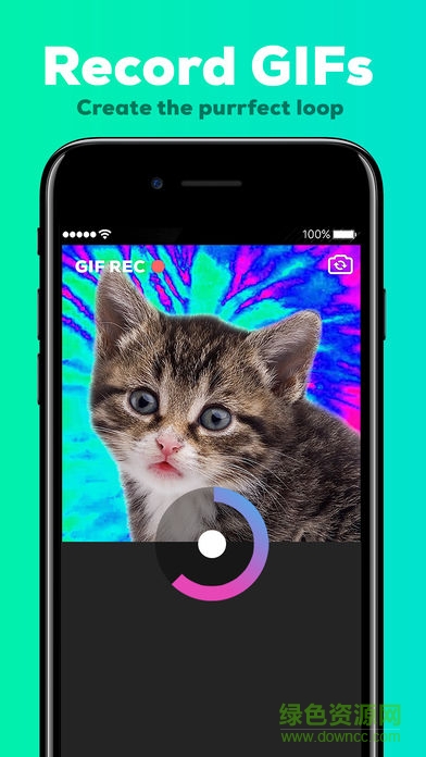 GIPHY CAM