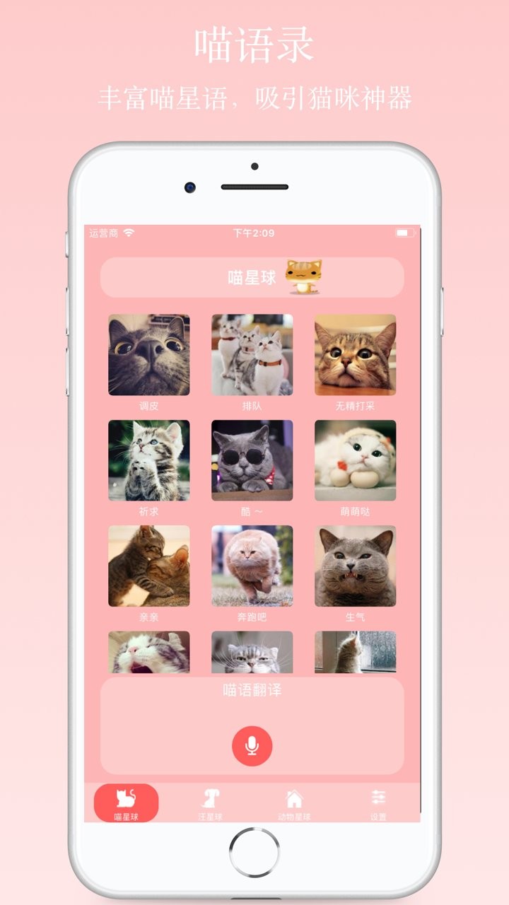 波波猫狗翻译器