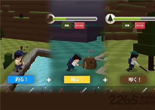 口袋世界：探险之岛