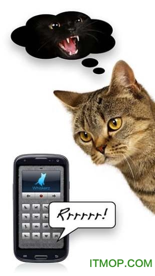 人狗人猫交流器