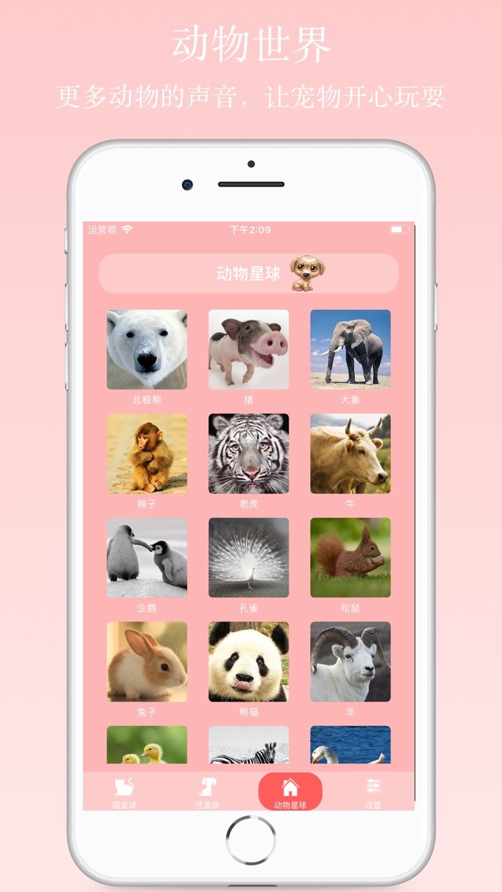 波波猫狗翻译器