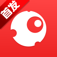 内目芝士