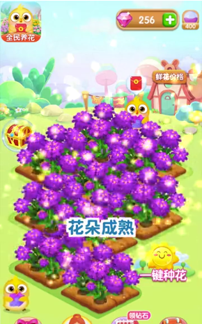 全民养花