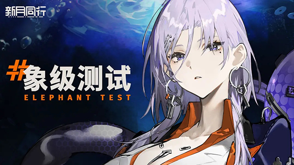 81影院看片播放器