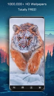 百万高清壁纸(高品质壁纸软件) v3.2 安卓版