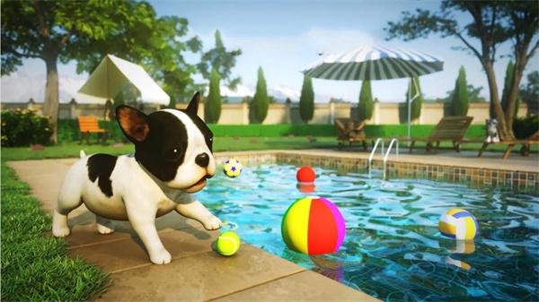 动物生存模拟 动物生存模拟