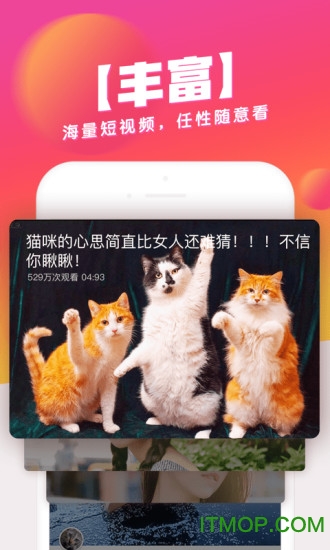 波波视频