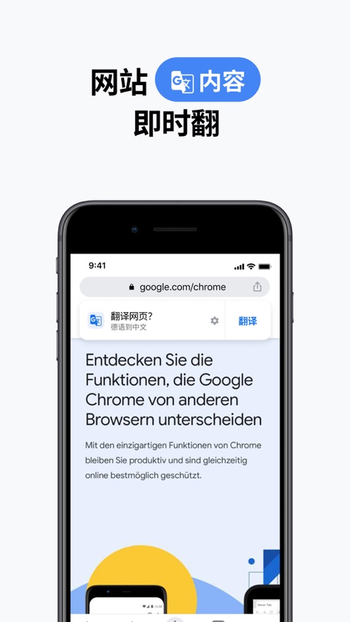 chrome dev官方版