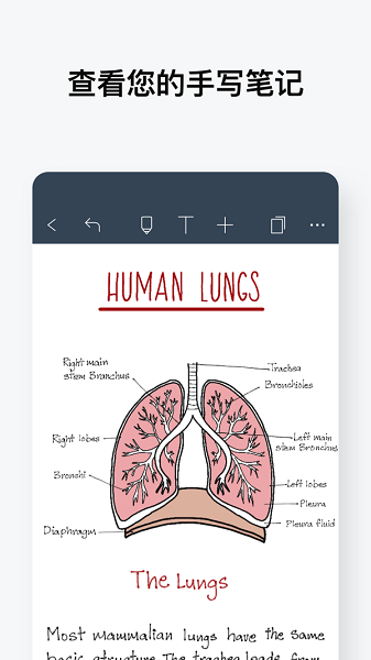 noteshelf苹果手机版