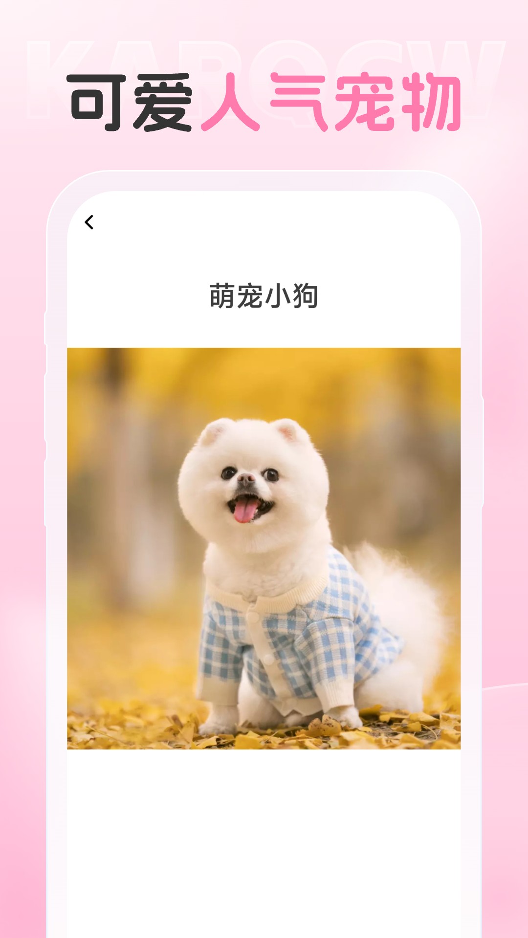 爱炫相机