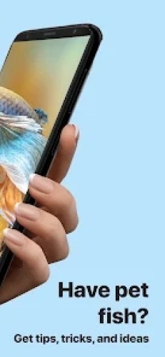 Picture Fish拍照识鱼