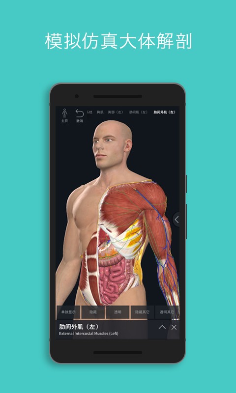Complete Anatomy 2022(解剖教学平台)