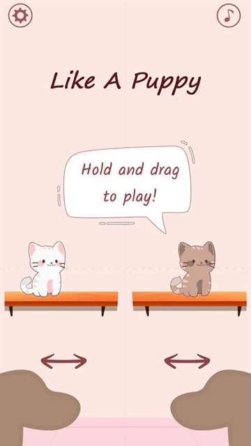 猫咪二重奏