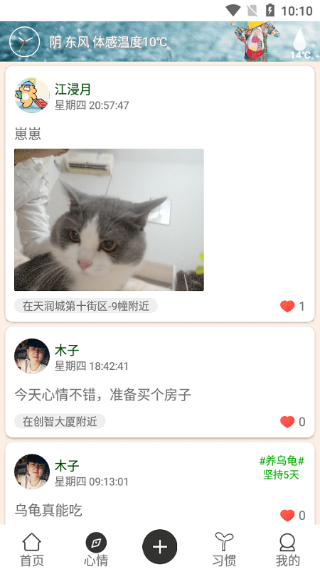 花千树